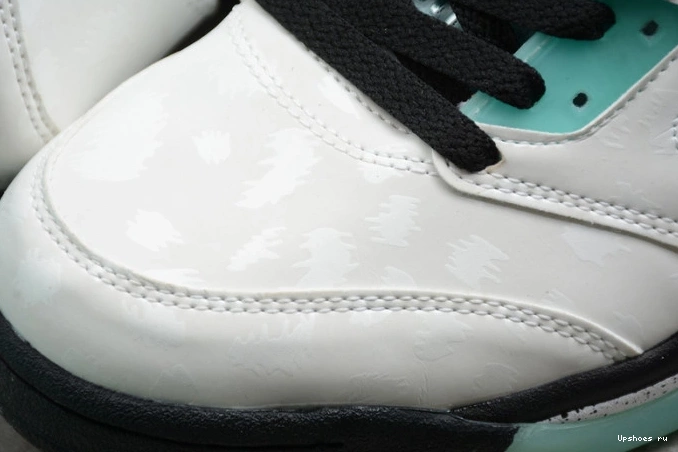 Green Island 5 Jordan  Retro Air CN2932-100 0929